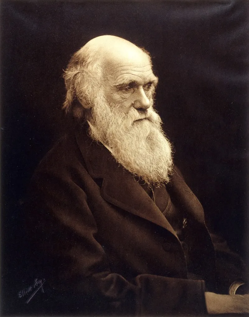 Darwin